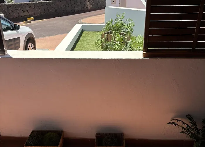 Palmeras