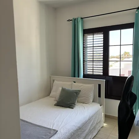 Palmeras Costa Teguise