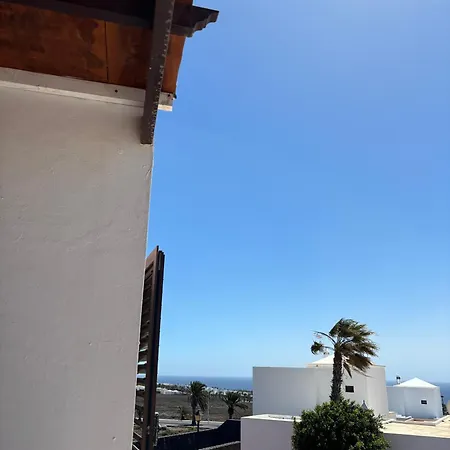 Palmeras * Costa Teguise