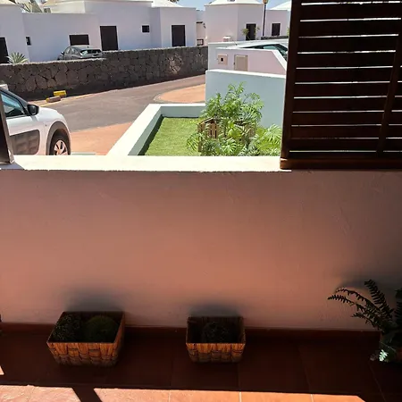 Palmeras * Costa Teguise