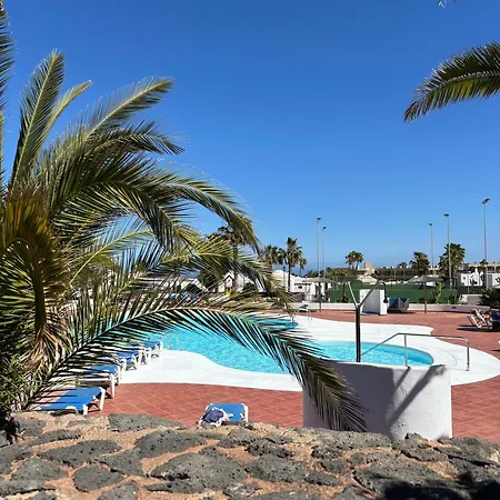 Palmeras Costa Teguise